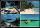 Delcampe - CPM - MALDIVES - Vues Diverses ... LOT 5 CP à Saisir - Maldiven