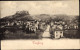 CPA Lenzburg Kanton Aargau, Blick Auf Den Ort, Hotel Sternen - Lenzburg