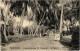 PC SURINAME - KOKOSPALMEN TE CORONIE (TOTTNES) (a2438) - Surinam