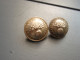 2 Jolis Boutons - Gendarmerie Nationale - 20 Mm & 17.5 Mm - Buttons