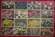 Lot 120 Cartes Postales Fleurs Et + 8 Fruits Switzerland éditeur Phot E. Gyger Abelboden Franco Port France Métro TBe - Collections & Lots