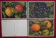 Delcampe - Lot 120 Cartes Postales Fleurs Et + 8 Fruits Switzerland éditeur Phot E. Gyger Abelboden Franco Port France Métro TBe - Collections & Lots