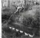 Doisneau, Lot 3 Cartes Doubles, Jardins Champ De Mars, Fontaine Wallace, Petits Bateaux, 3 Scans - Doisneau