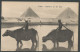 Carte P ( Le Caire / Buffalos ) - Pyramiden