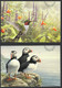 1998 Birds: Owl, Puffins, Flycatcher, Hummingbird, Woodpecker - Oiseaux - Set Of 5 Cards - 1953-.... Regno Di Elizabeth II