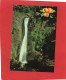 ANTILLES---GRENADA---Lower Concord Falls--voir 2 Scans - Grenada