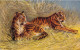 ANIMAUX - TIGRES - Deux Tigres Allongés Dans L'herbe - Carte Postale Ancienne - Tiger