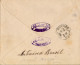 1896 BRASIL , SOBRE ENTERO POSTAL CIRCULADO , ANTONINA - BUENOS AIRES , LLEGADA AL DORSO  - Covers & Documents