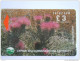 Cyprus Chypre 20CYPA Akamas Forest Plantes Fleurs £ 3 Used (white Strip) - Cyprus