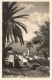 ESPAGNE - Tenerife - Bambla De Castro - Carte Postale Ancienne - Tenerife