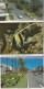 4911A 8 Cairns 1982 With 10 Photos - Cairns