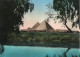 CAIRO - THE GIZA PYRAMIDS - F.G. - Pyramides