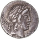 Monnaie, Crepusia, Denier, 82 BC, Rome, TTB, Argent, Sear:283, Crawford:361/1 - Repubblica (-280 / -27)