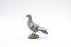 Elastolin, Lineol Hauser, Animals Pigeon N°4067 , Vintage Toy 1930's - Figuren