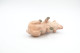 Elastolin, Lineol Hauser, Animals Pig N°4026, Vintage Toy 1930's - Figurines