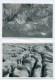 Delcampe - Lots No 2 & 3, 109 Modern Postcards, England, Wales, Scotland, Gibraltar, Ireland, FREE REGISTERED SHIPPING - Collections & Lots