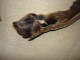 Delcampe - Vintage Real Fox Fur Brown Leather Collar 105cm(41'') #0287 - Foulards