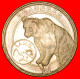 * BROWN BEAR: AUSTRIA  WWF For Kids UNC MINT LUSTRE TO BE PUBLISHED! ·  LOW START · NO RESERVE! - Gewerbliche