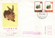 Taiwan Formosa Republic Of China FDC Art Paintings Drawings Traditional Animals Rabbit - 4.50$ And 0.50$ Stamps - FDC