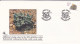 Delcampe - SOUTH AFRICA RSA 1988-89 10 Official First Day Covers FDC 4.24 4.25 4.25.1 4.26  S14 5.2 5.3 5.3.1 5.4 5.5 - Briefe U. Dokumente