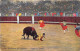 Delcampe - TAUROMACHIE- LOT DE 18 CARTES DE CORRIDA DE TOROS - - Autres & Non Classés