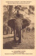Congo Belge - Expédition Citroen - Cetre Afrique - La Croisière Noire - L'éléphant D'Afrique - Carte Postale Ancienne - Congo Belge