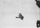 Delcampe - SUPERBE ENSEMBLE DE 39 PHOTOS ALLEMANDES  SUR BIPLAN FOKKER FABRICATION ACCIDENT VOL DE RECONNAISSANCE REGION HANOVRE - Aviación