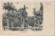 Castries, Saint Lucia, Sainte Lucie. Antilles. Columbus Square. Carte Précurseur Circulé. 2 Scans - Sainte-Lucie