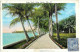 Palm Beach, Lake TRail. Floride. CPA écrite. Timbre Anglais Et Français?? - Palm Beach