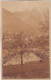 D4618) HALL In TIROL - Alte FOTO AK - BRÜCKE U. Blühende Bäume 1916 - Hall In Tirol