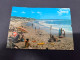 12-9-2023 (4 T 51) Australia - QD - Noosa Beach (not Perfect - Folded) - Far North Queensland