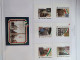 Delcampe - Collezione VATICANO 1978/2012 MNH ** Montata Su 2 Album (GBE E Marini), 99,9% Completa. - Sammlungen (im Alben)