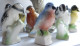 Delcampe - Figurines Oiseaux En Faience Clooection Thé Tenderflake - Figurines
