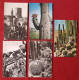 12 Cartes - Fleurs Cactus - Cactus