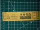 Delcampe - A SCELTA 1 TICKET SU 18 DISPONIBILI: THE BEATLES BIGLIETTO CONCERTO RIPRODUZIONE RECENTE NO 60'S - Concerttickets