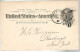 52920 ) USA Postal Stationery Newburgh New York  Postmarks Duplex 1894 - ...-1900