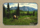 UNITED STATES, MONTANA, GLACIER NATIONAL PARK, DEER GRAZING IN A GLACIAL MEADOW, PANORAMA, MOUNTAIN - Autres & Non Classés