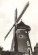 BELGIQUE - Dernier Moulin à Vent De La Hesbaye, Légeoise - Donceel - Carte Postale Ancienne - Donceel