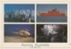 Australisch Antarctica 1994, 4 Same Cards, Stamped Bond University - Cartas & Documentos