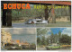 Echuca Old Postcard Travelled 1983 Bb151030 - Other & Unclassified