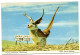 Flying Jackalope Wall Drug - Wall - South Dakota - Andere & Zonder Classificatie