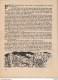 Delcampe - -HISTOIRE Du LYONNAIS- Raconté Par H. Kubnick -Imagée Par J Liozu-32 Pages -Première Page Avec Un Collant Ancien - Rhône-Alpes