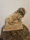 Delcampe - LION EN ALBATRE SOUVENIR DE LA BRIGADE DE ST JEAN DE GONVILLE AIN LONGUEUR 20CM HAUTEUR 17CM POIDS 1.8 KG - Stone & Marble