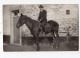 SOHEIT - TINLOT - Adolphe DISPA - Cavalier *cheval*carte Photo* - Tinlot