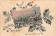 Glückliche Neujahr Bern 1908 Stechpalme Houx - Bern