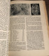 Delcampe - LA VIE DES ANIMAUX Par L. Bertin Professeur Musée Histoire Naturelle Tome 1 Larousse 1949 1036 Gravures 9 En Couleur - Encyclopédies
