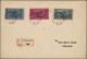 Delcampe - Cover Hungary: 1919/1920, Collection Of 66 Covers/cards Showing A Lovely Range Of Inte - Debreczin