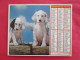 LOT DE 31 CALENDRIERS ALMANACHS De 1982 à 2016  CHIEN, CHAT, POUSSIN LAVIGNE OBERTHUR OLLER - Groot Formaat: 1981-90