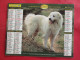 Delcampe - LOT DE 31 CALENDRIERS ALMANACHS De 1982 à 2016  CHIEN, CHAT, POUSSIN LAVIGNE OBERTHUR OLLER - Grossformat : 1981-90