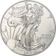 États-Unis, 1 Dollar, 1 Oz, 2013, Philadelphie, Argent, SPL, KM:273 - Silver
